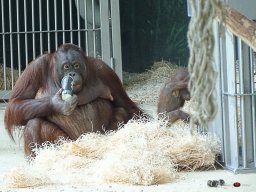 Tiergarten Schönbrunn am 23.03.2023